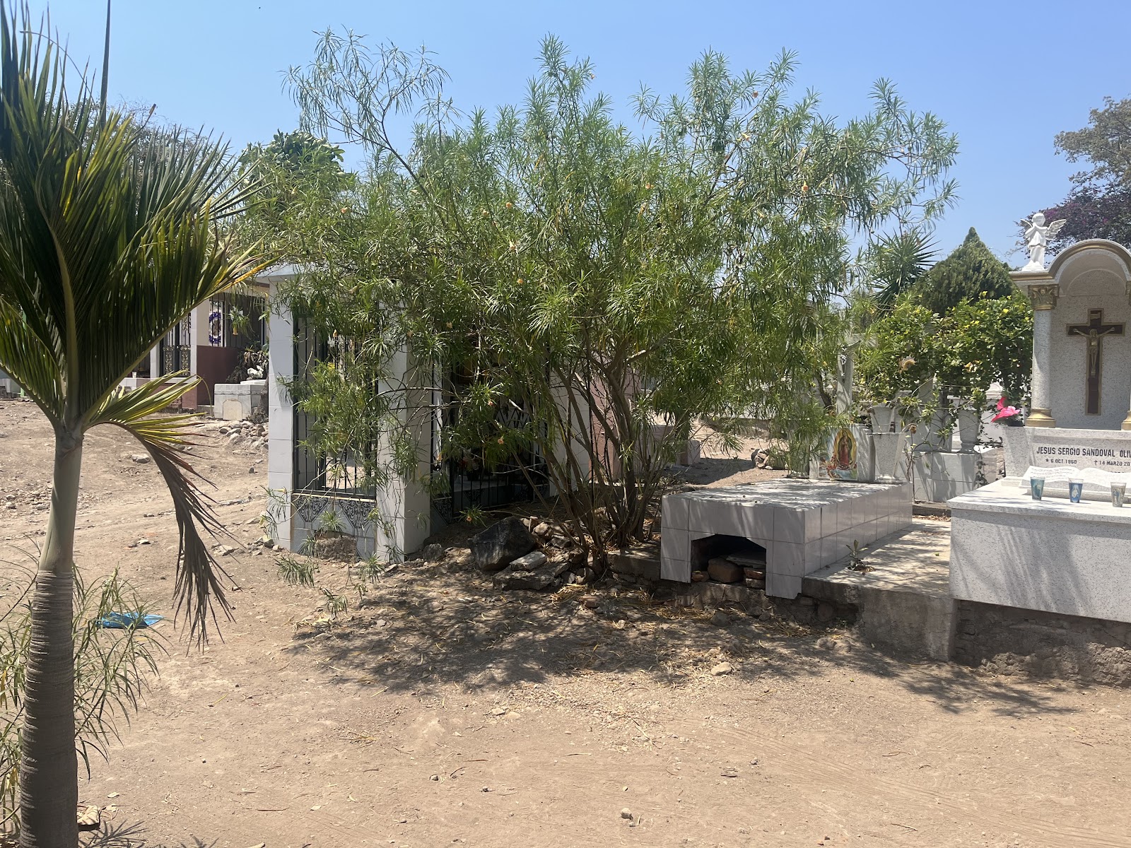 leetx-google-photo-73137-6 leetx-google-photo-73137-6