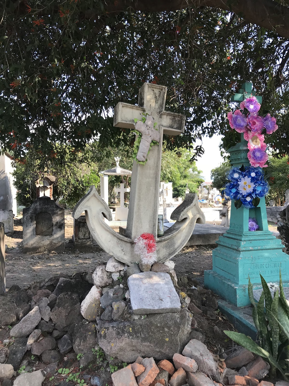 leetx-google-photo-73137-7 leetx-google-photo-73137-7