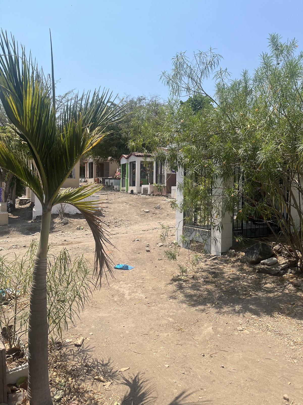 leetx-google-photo-73137-8 leetx-google-photo-73137-8