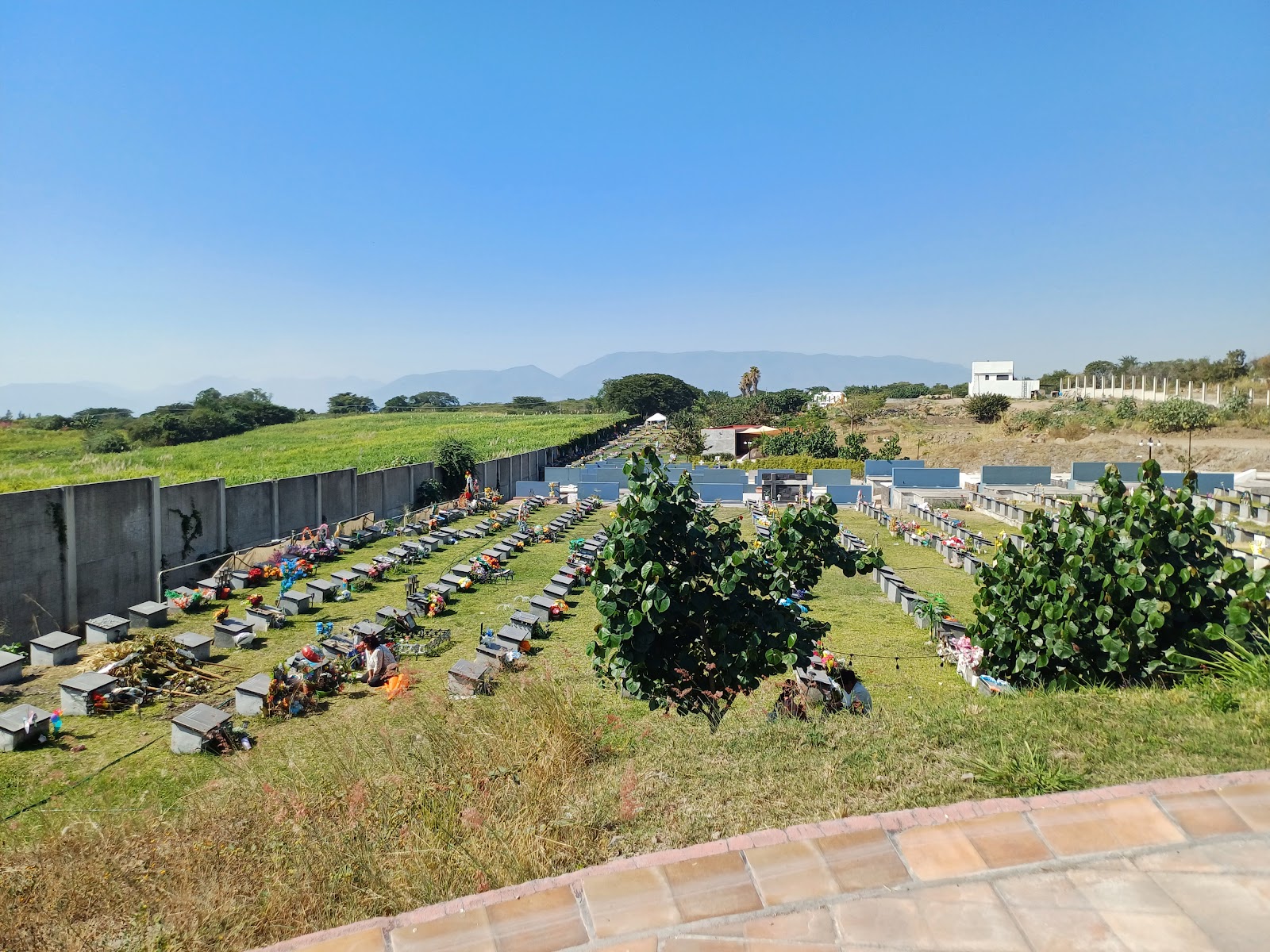 leetx-google-photo-73167-3 leetx-google-photo-73167-3