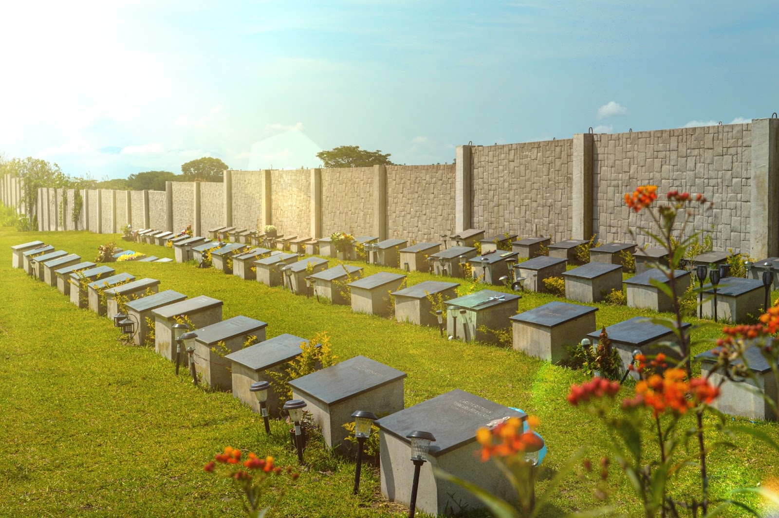 leetx-google-photo-73167-7 leetx-google-photo-73167-7