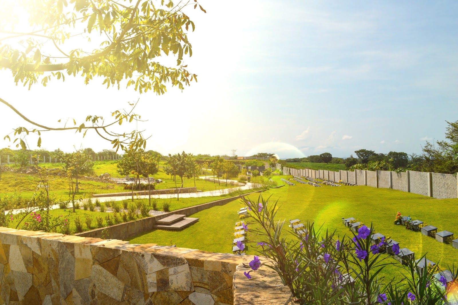 leetx-google-photo-73167-8 leetx-google-photo-73167-8