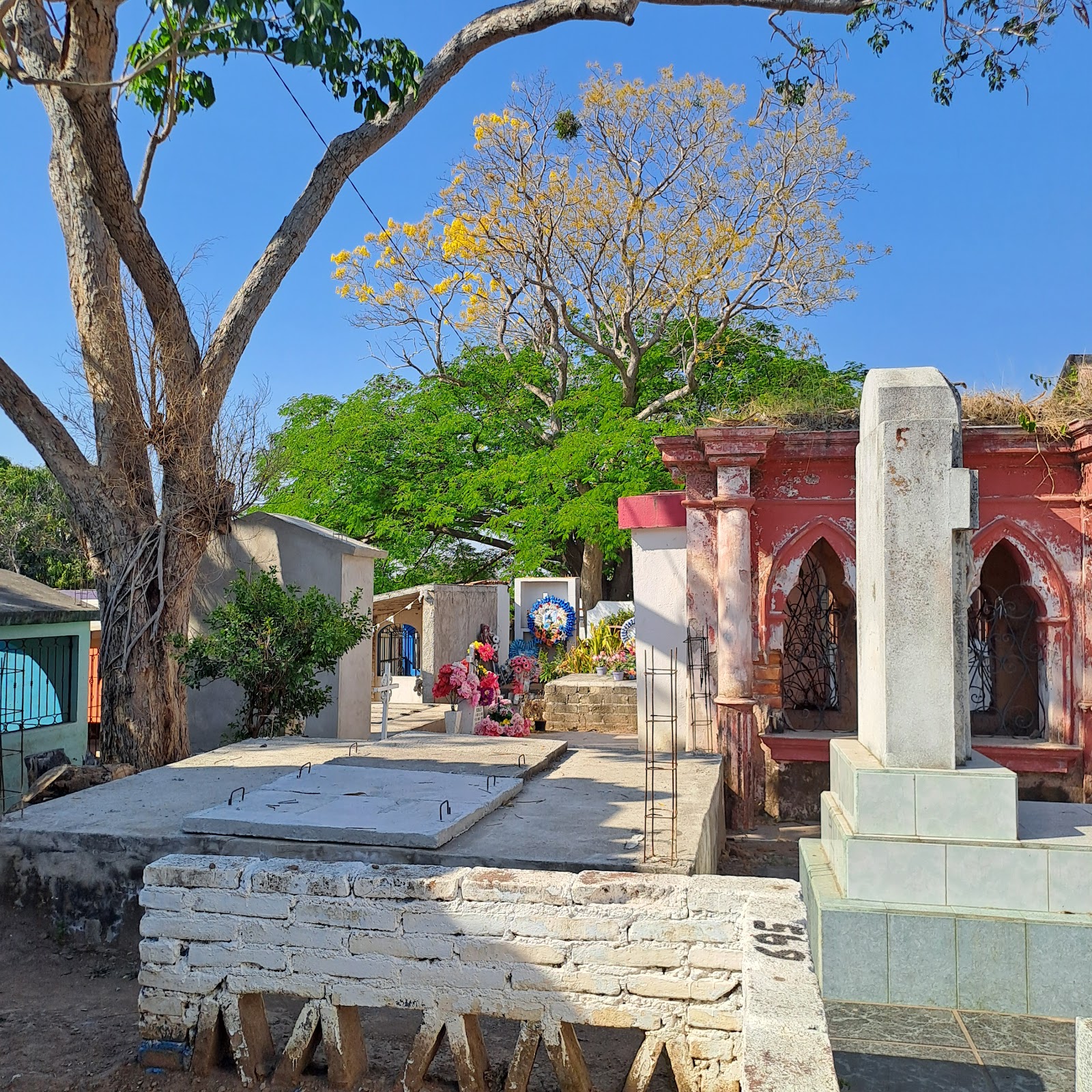 leetx-google-photo-73187-1