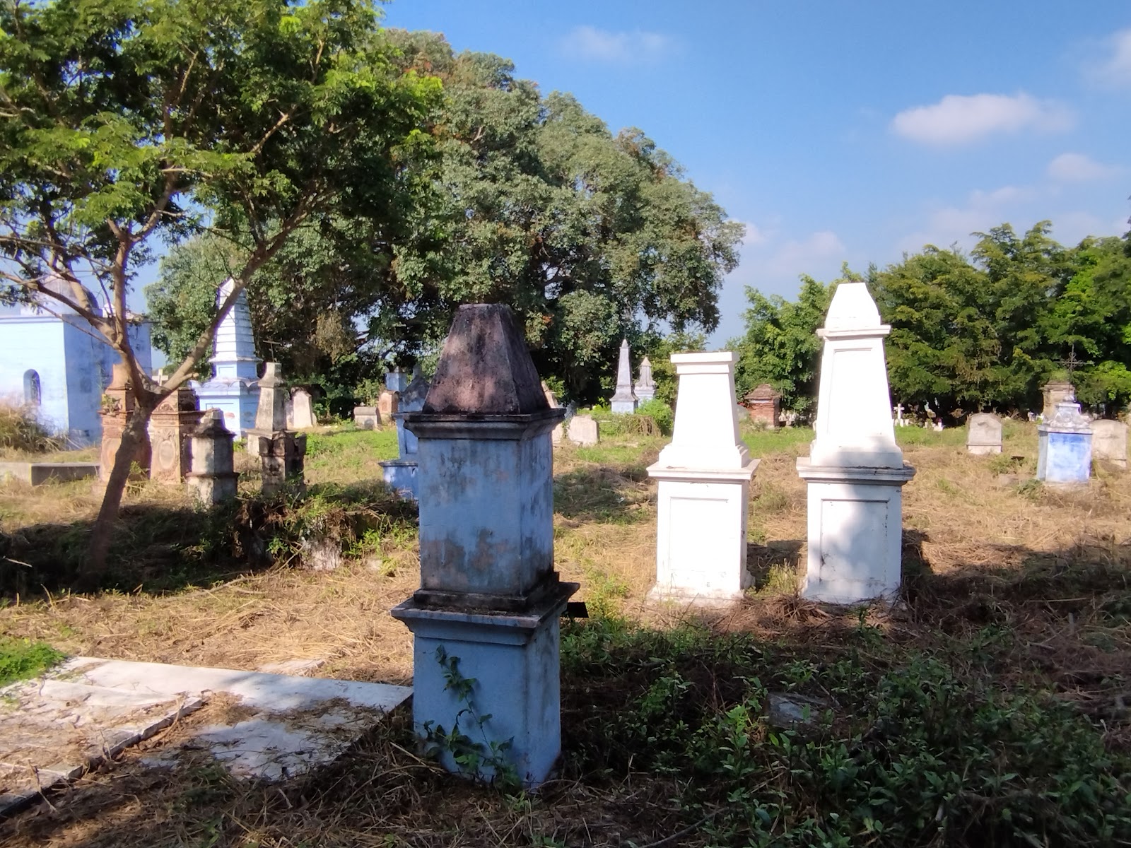 leetx-google-photo-73189-1