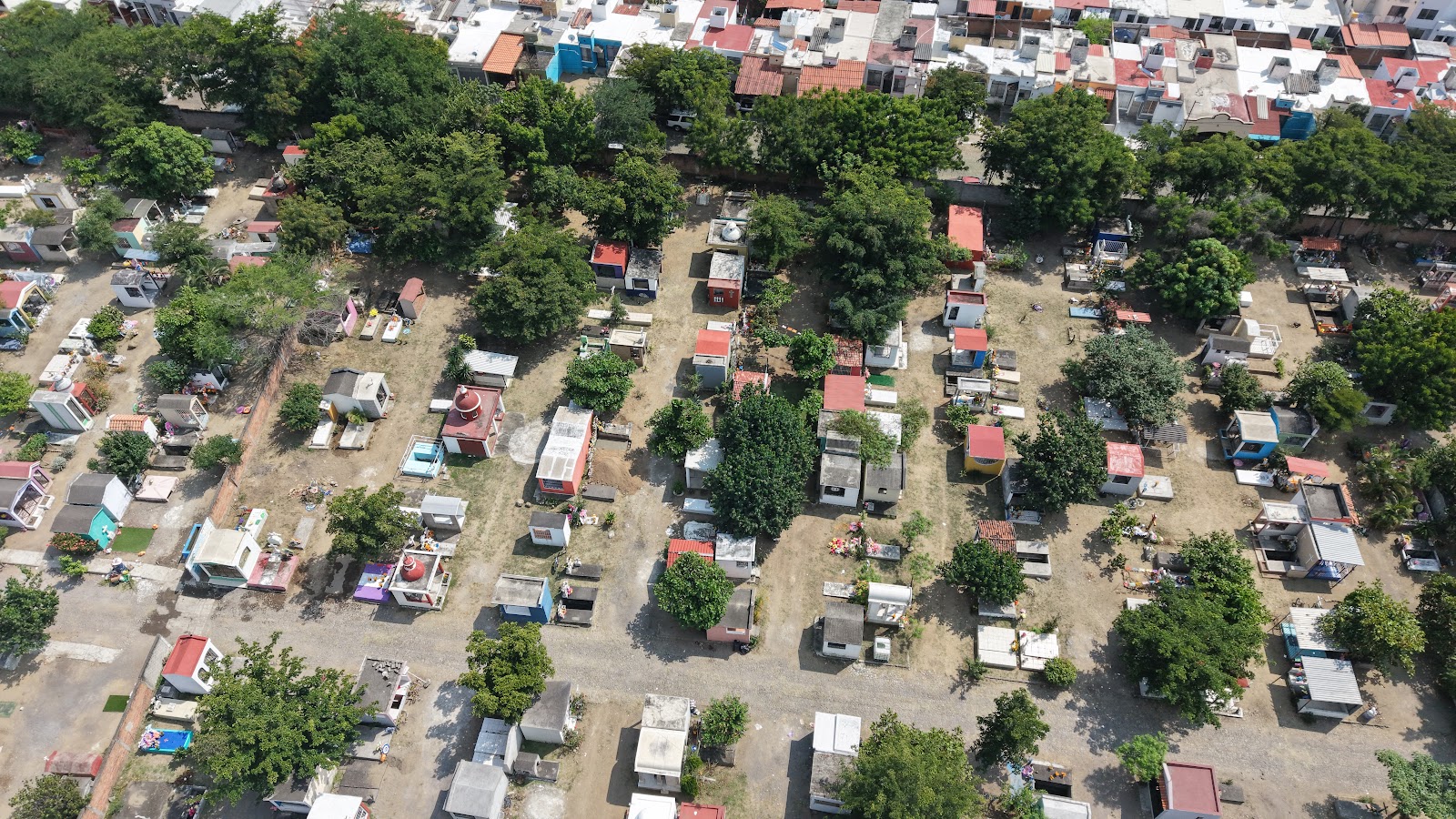 leetx-google-photo-73199-1