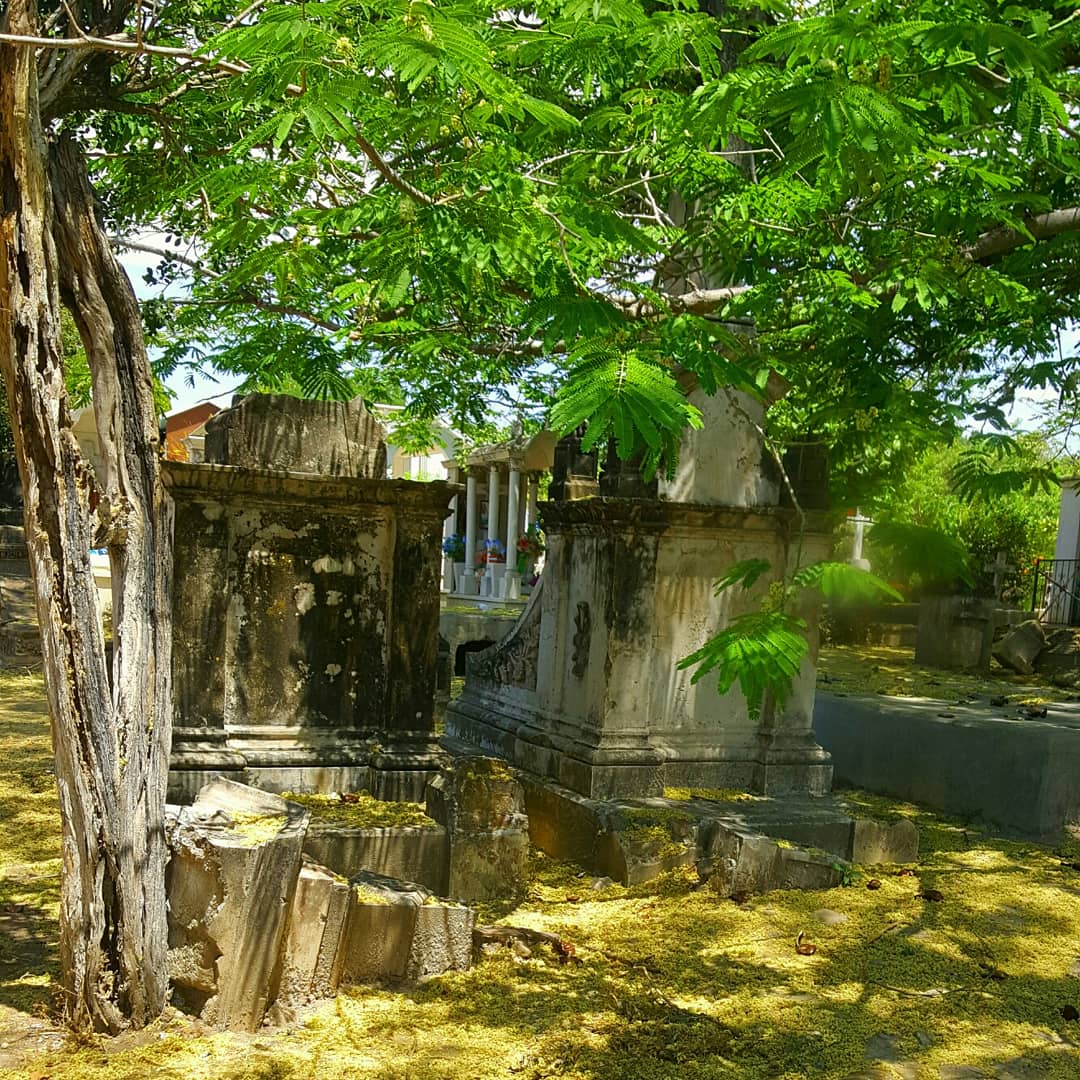 leetx-google-photo-73209-2 leetx-google-photo-73209-2