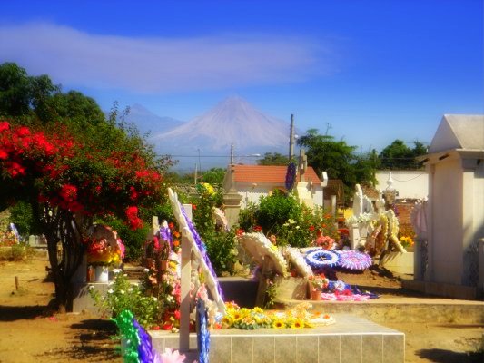 leetx-google-photo-73209-3 leetx-google-photo-73209-3