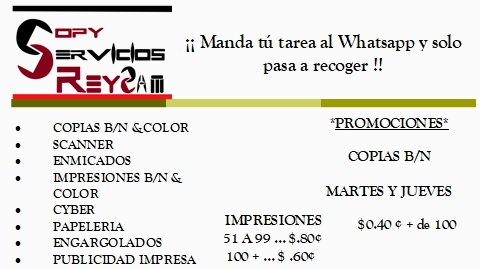 leetx-google-photo-73247-3 leetx-google-photo-73247-3