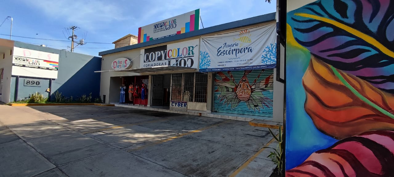 leetx-google-photo-73274-1