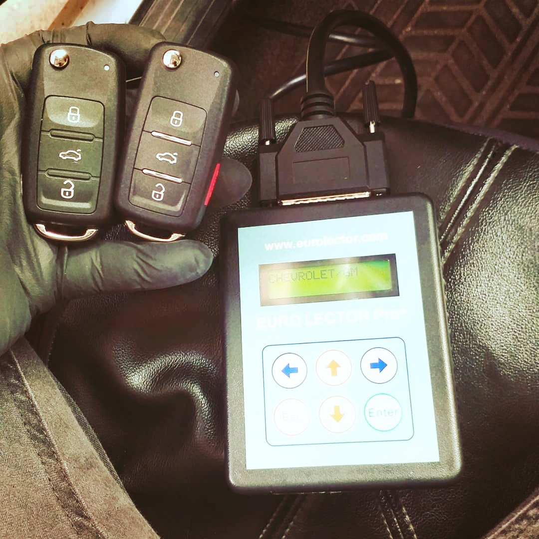 leetx-google-photo-73317-1 leetx-google-photo-73317-1