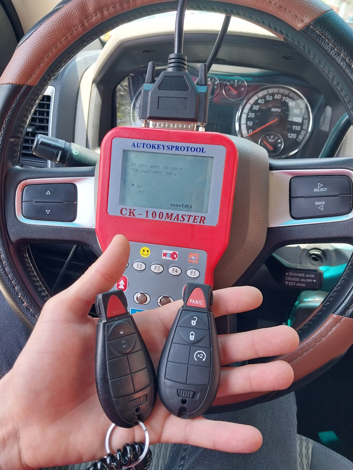 leetx-google-photo-73338-2 leetx-google-photo-73338-2