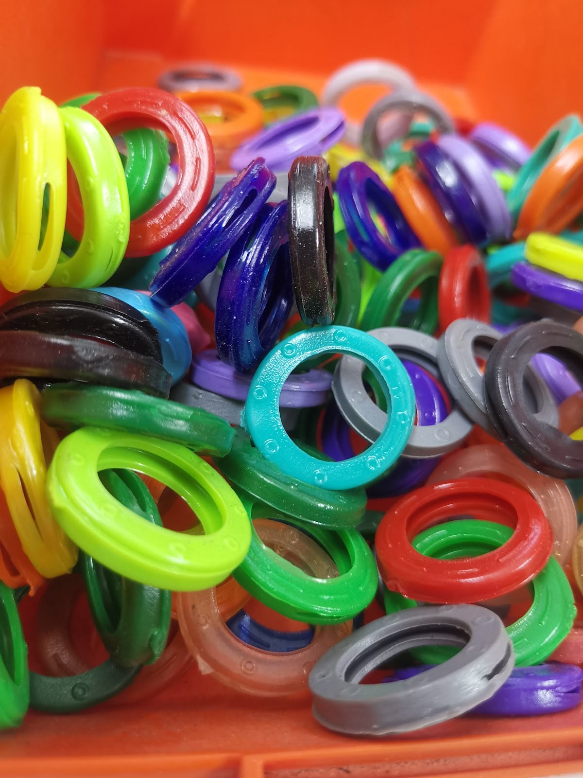 leetx-google-photo-73338-6 leetx-google-photo-73338-6