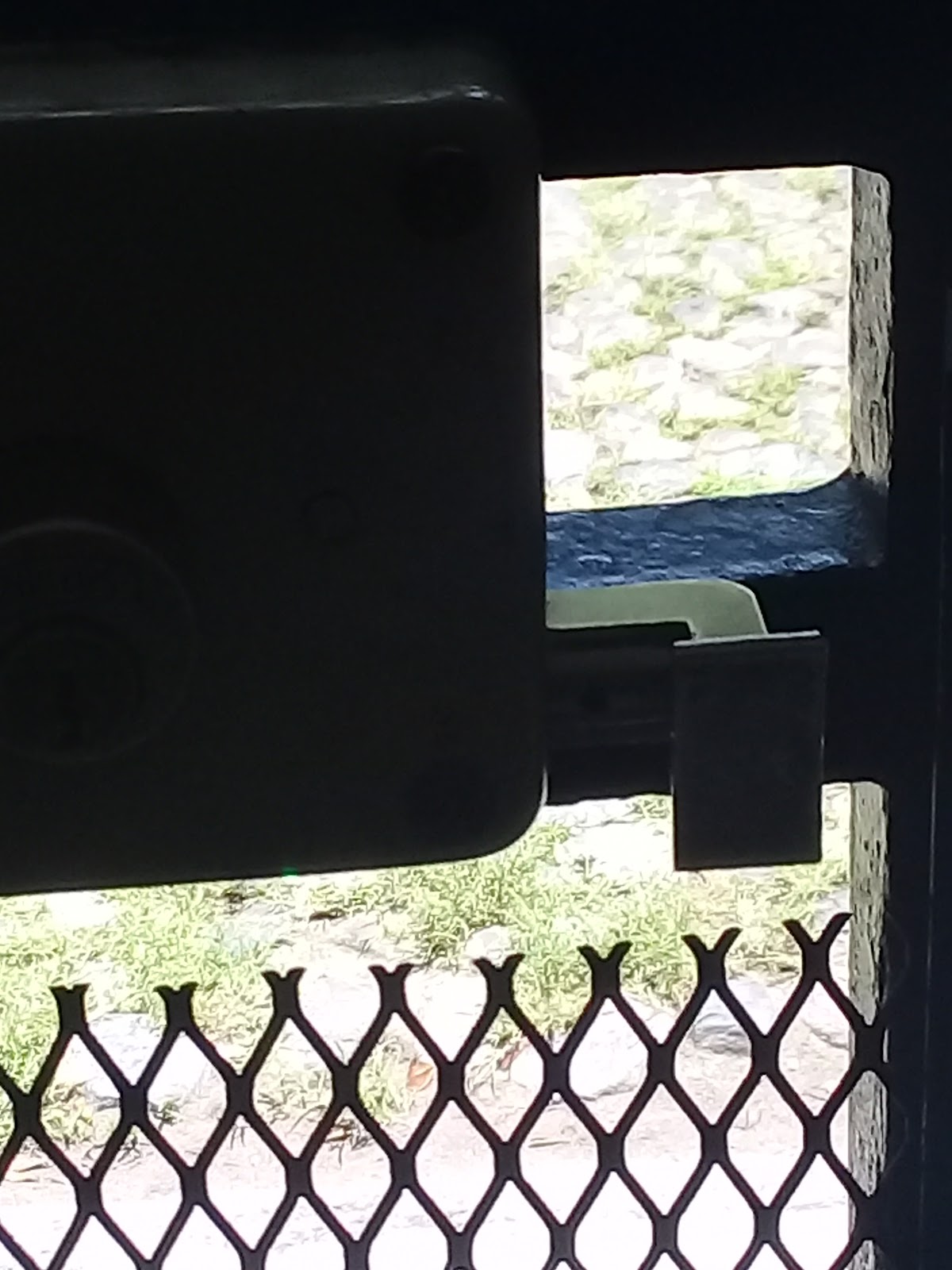 leetx-google-photo-73380-1