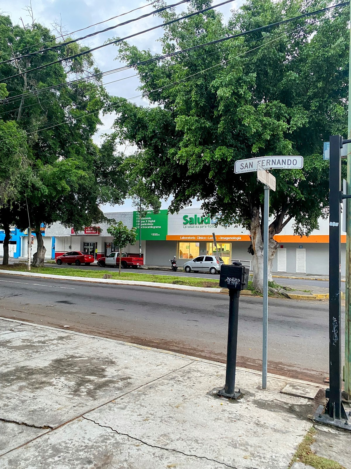 leetx-google-photo-73535-8 leetx-google-photo-73535-8