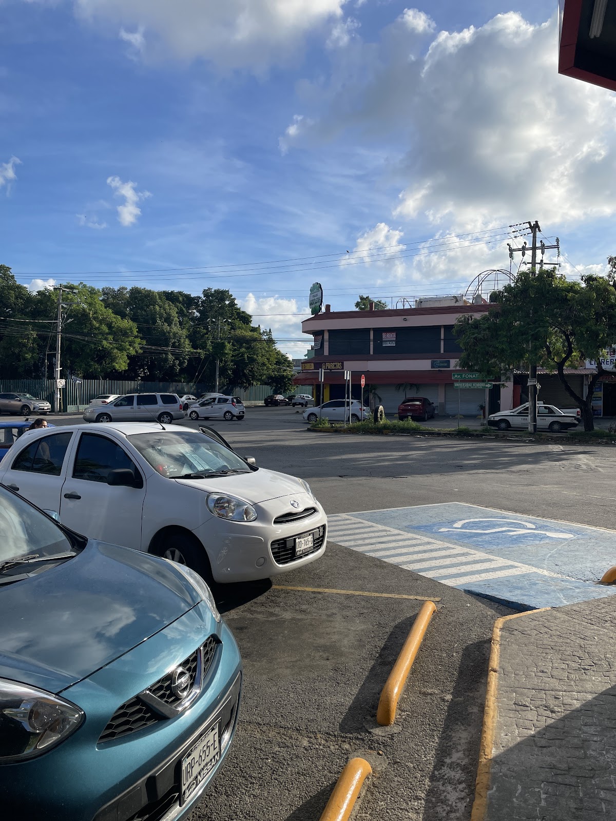 leetx-google-photo-73555-6 leetx-google-photo-73555-6