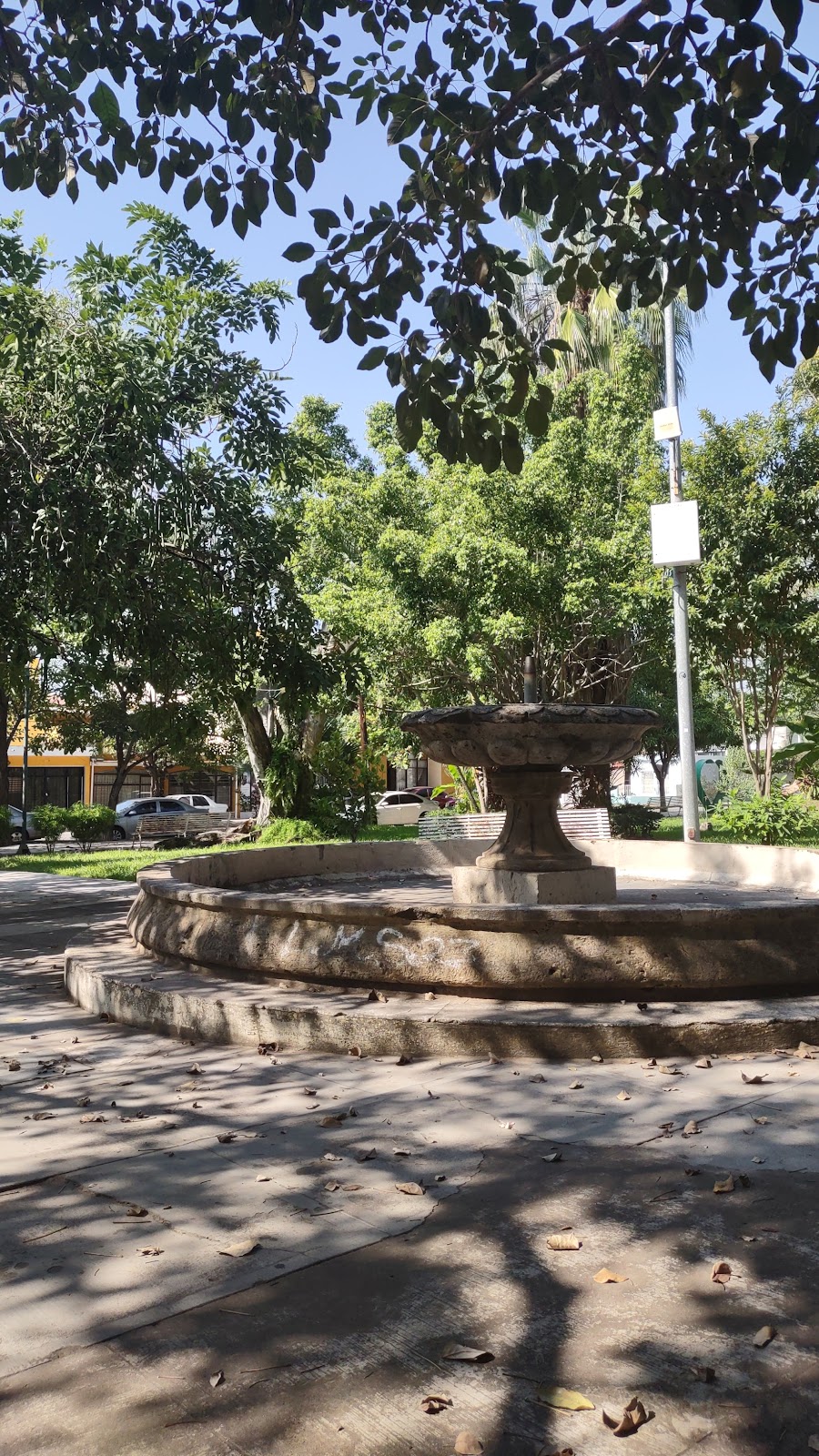 leetx-google-photo-73597-6 leetx-google-photo-73597-6