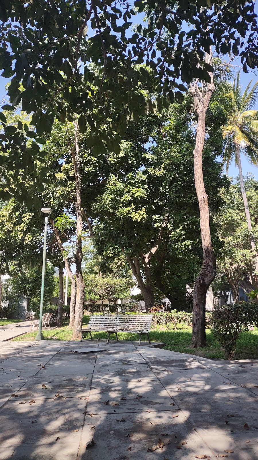 leetx-google-photo-73597-8 leetx-google-photo-73597-8