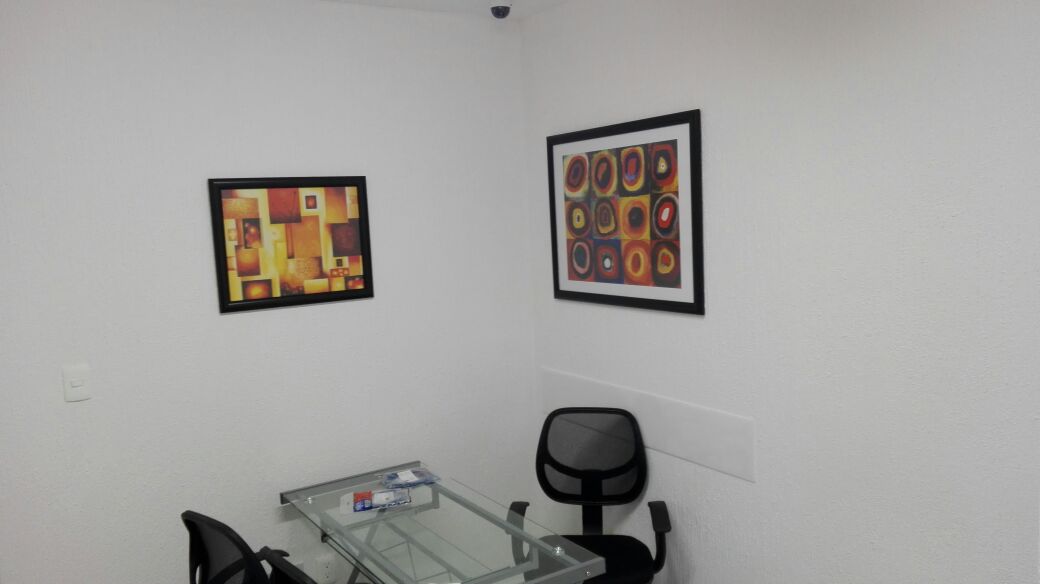 leetx-google-photo-73612-4 leetx-google-photo-73612-4