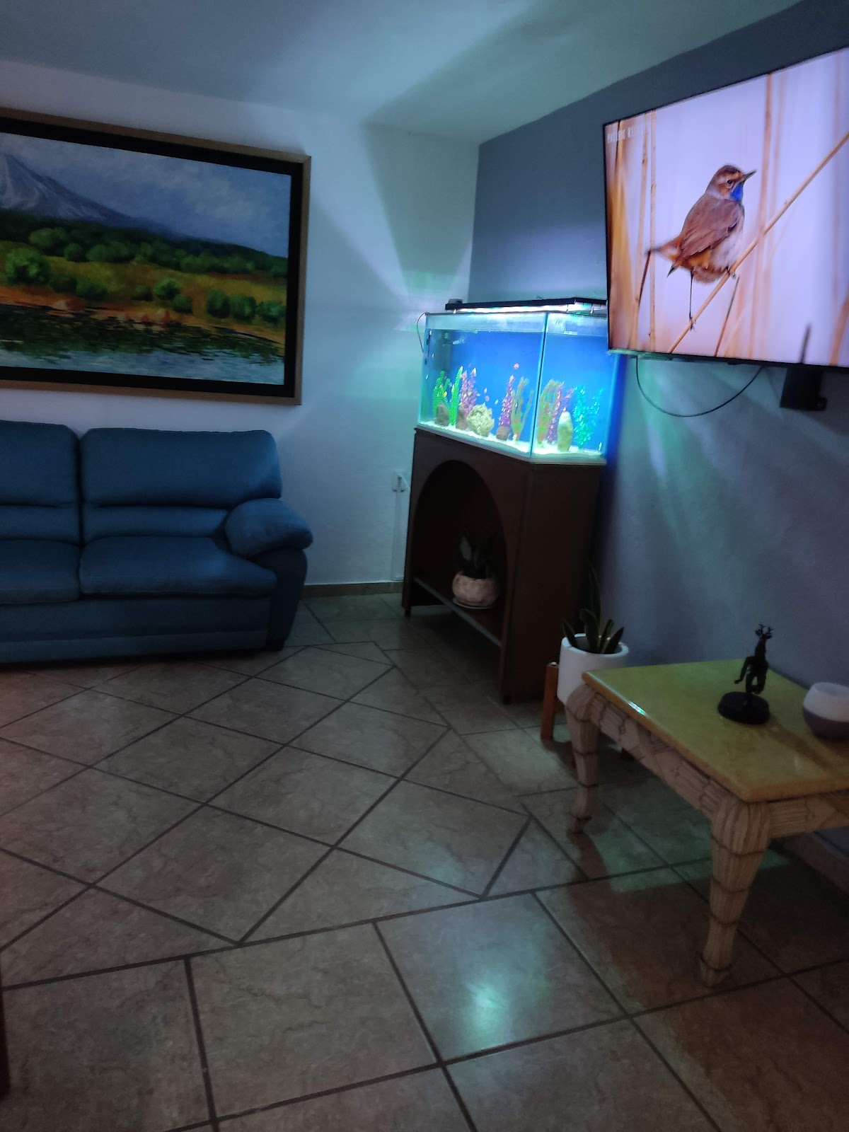 leetx-google-photo-73628-1