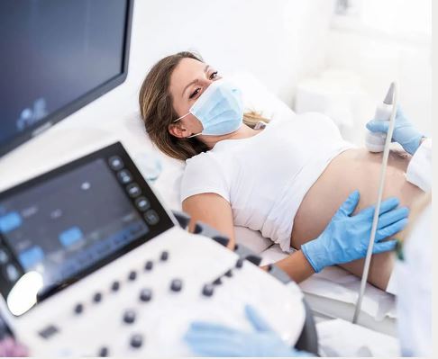 leetx-google-photo-73672-1