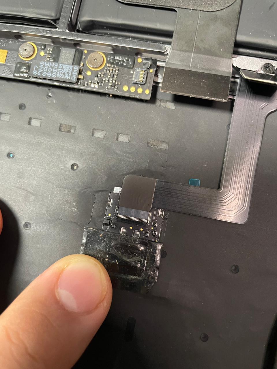 leetx-google-photo-73766-1-1