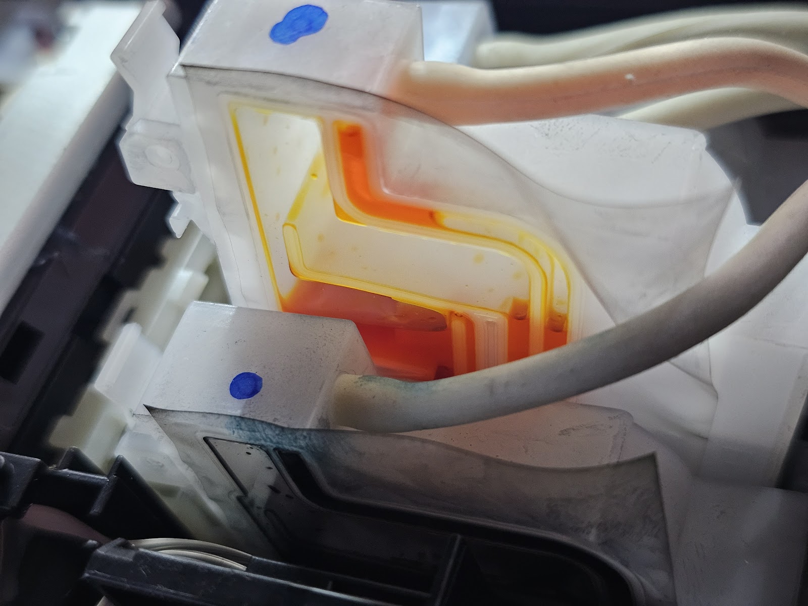 leetx-google-photo-73766-2-1 leetx-google-photo-73766-2-1