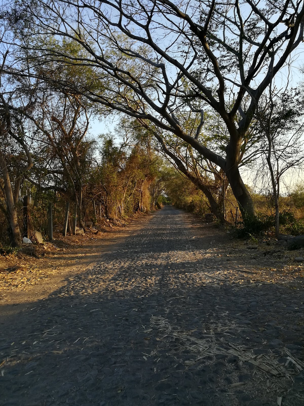 leetx-google-photo-74092-1