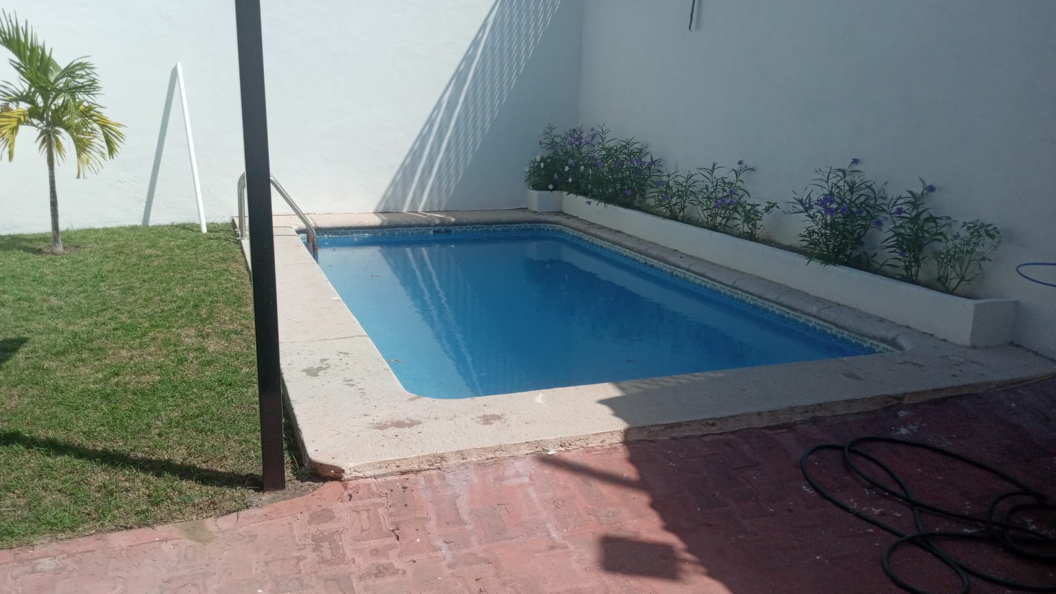 leetx-google-photo-74135-2 leetx-google-photo-74135-2