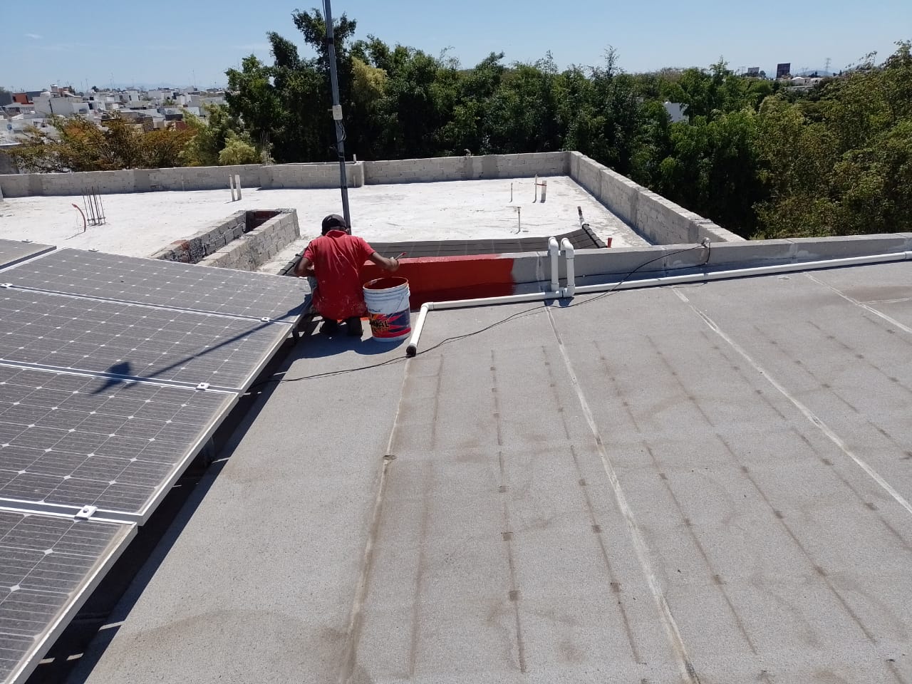 leetx-google-photo-74135-3 leetx-google-photo-74135-3