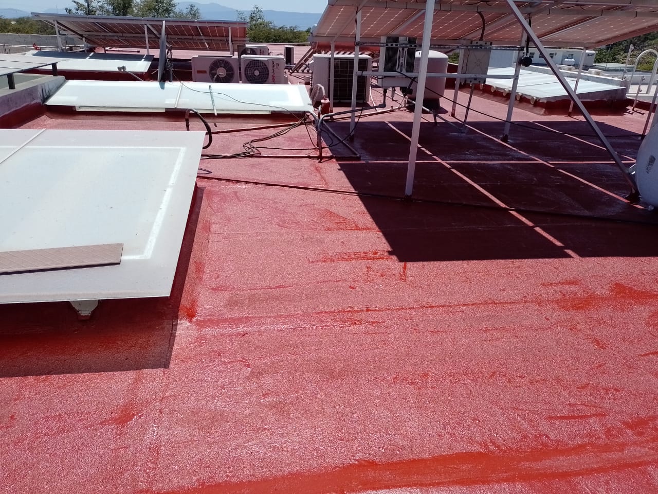 leetx-google-photo-74135-4 leetx-google-photo-74135-4