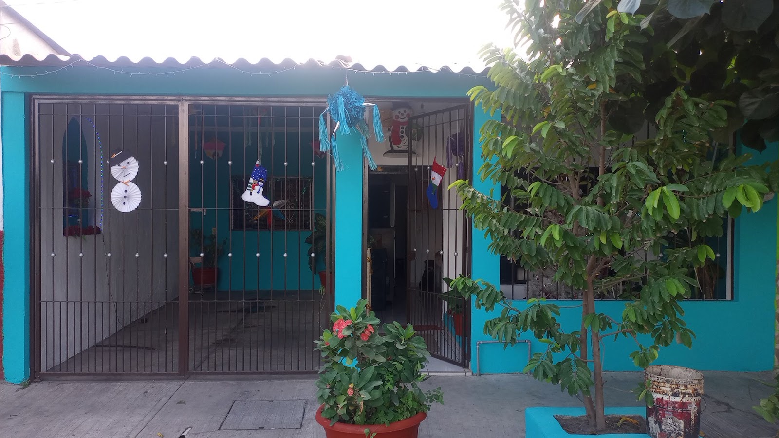 leetx-google-photo-74135-6 leetx-google-photo-74135-6