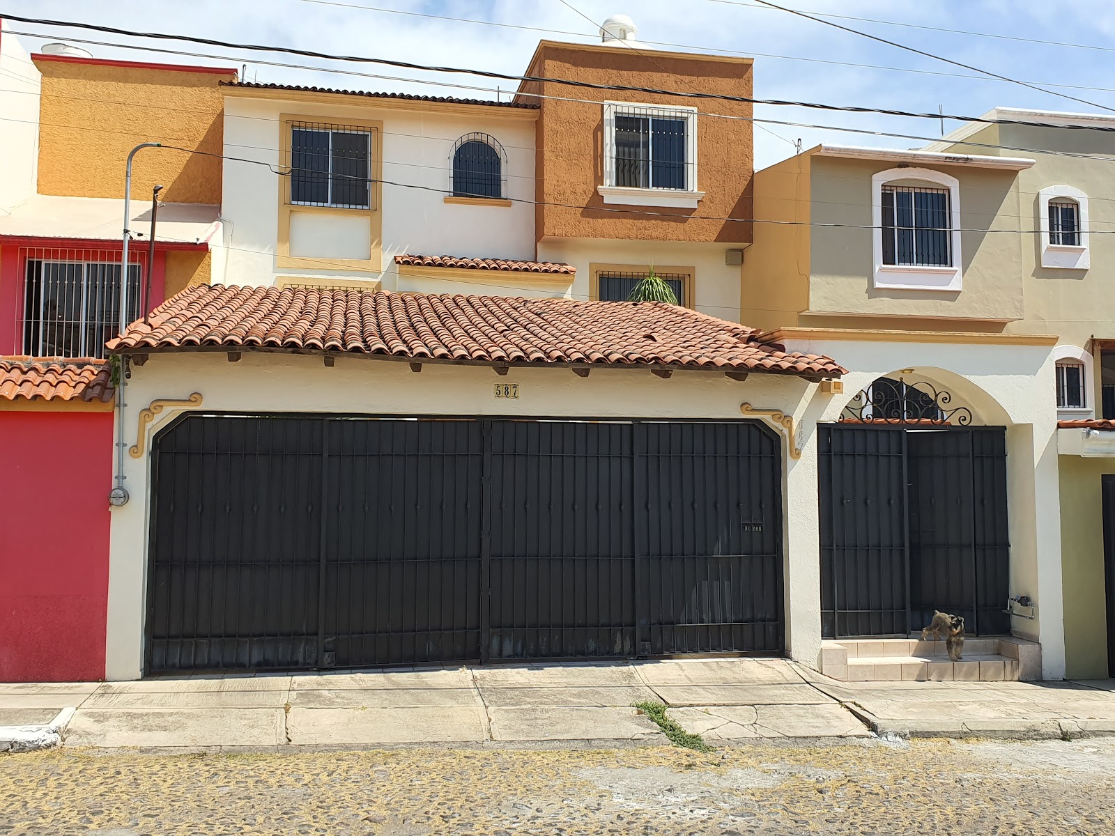 leetx-google-photo-74219-4 leetx-google-photo-74219-4