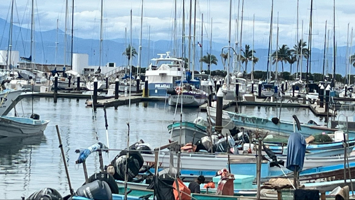 leetx-google-photo-74234-1