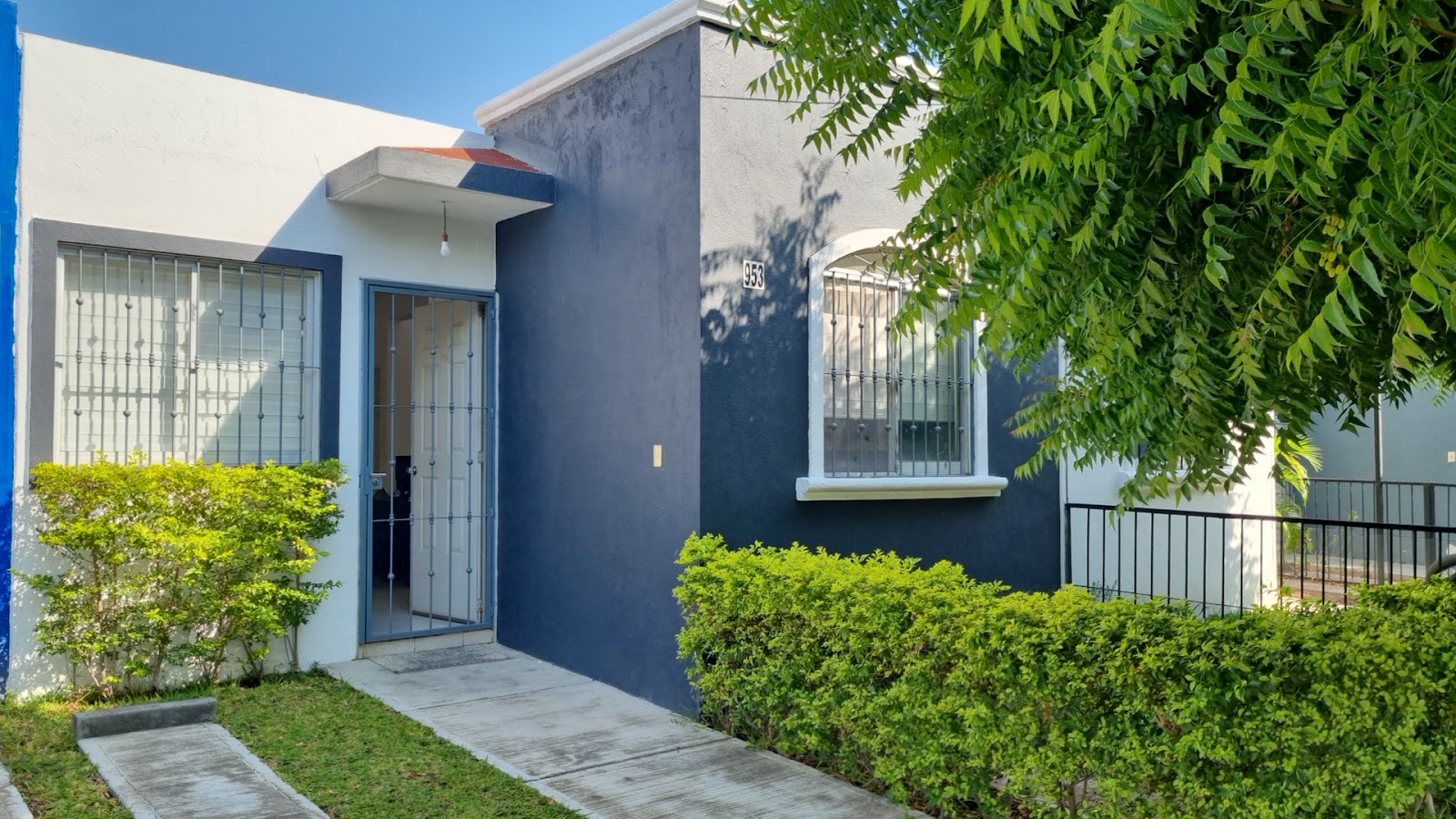 leetx-google-photo-74286-1