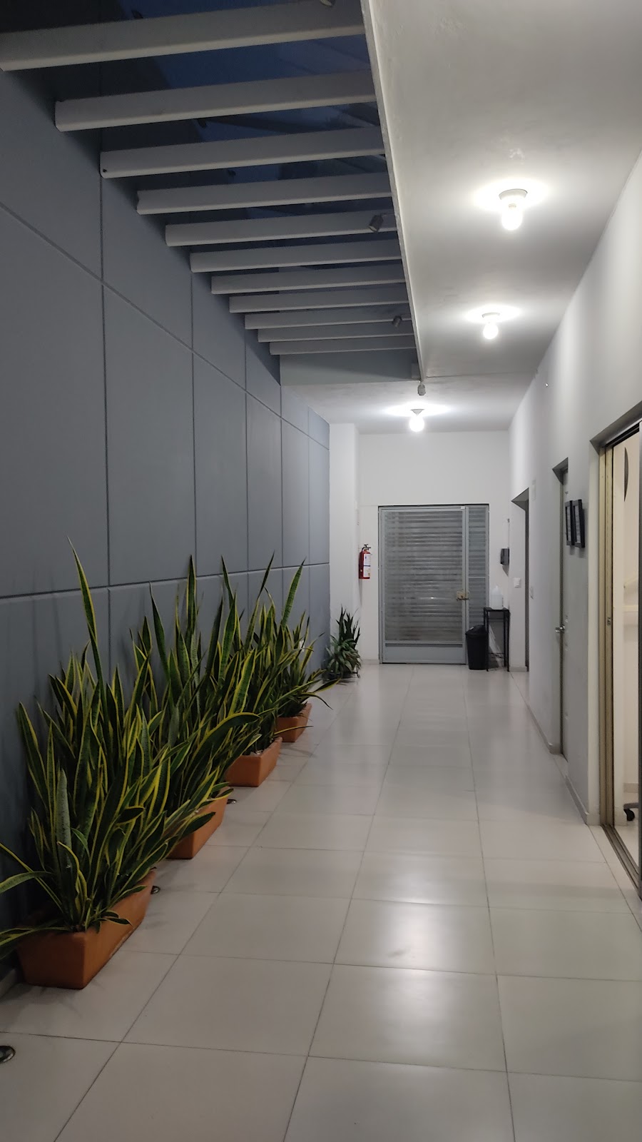 leetx-google-photo-74394-2 leetx-google-photo-74394-2