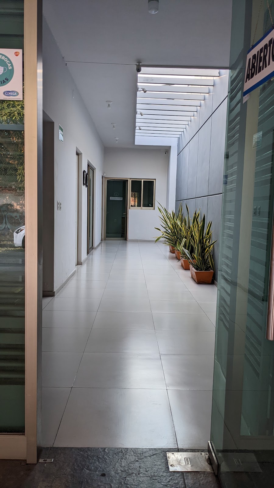 leetx-google-photo-74394-7 leetx-google-photo-74394-7