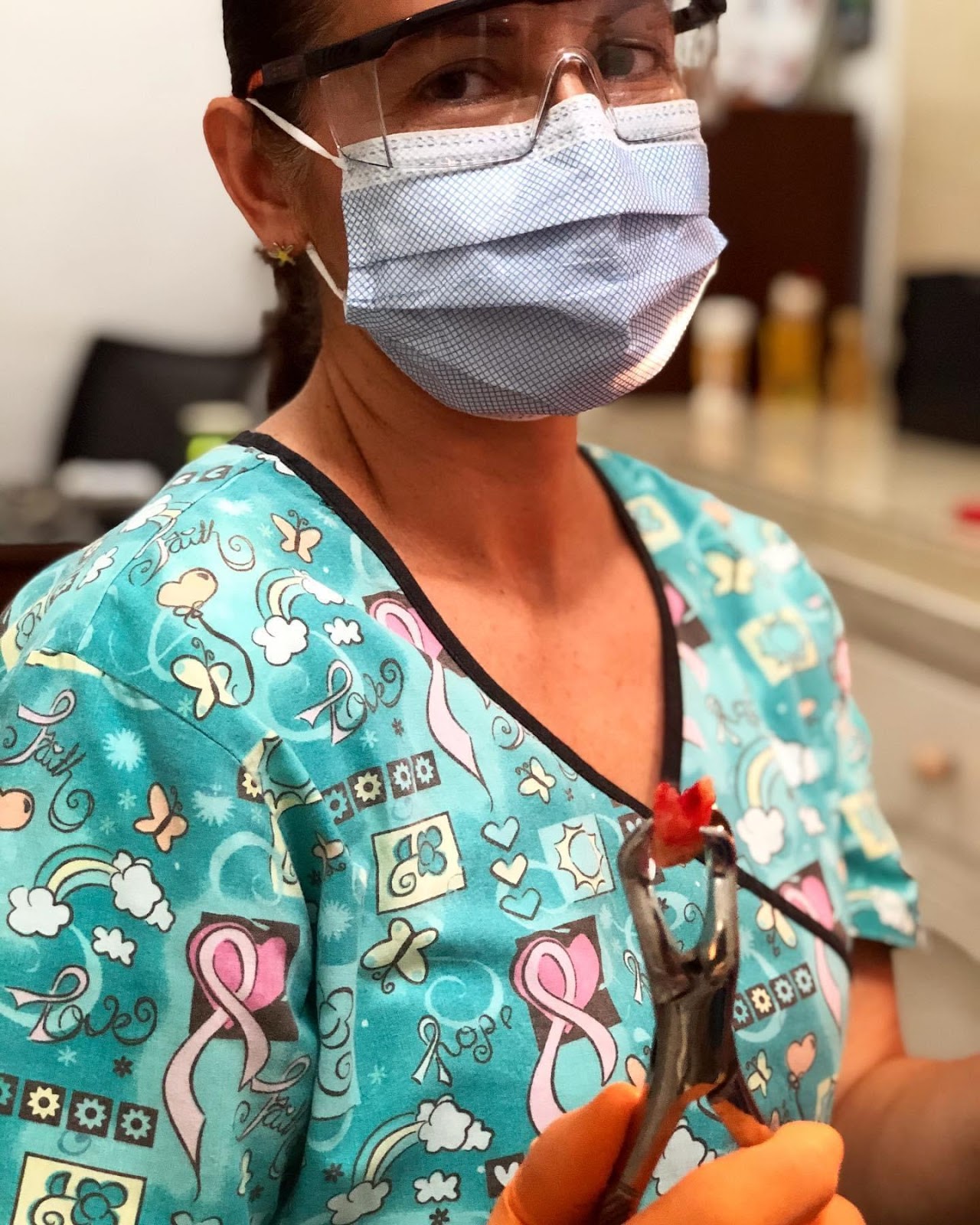 leetx-google-photo-74431-4 leetx-google-photo-74431-4