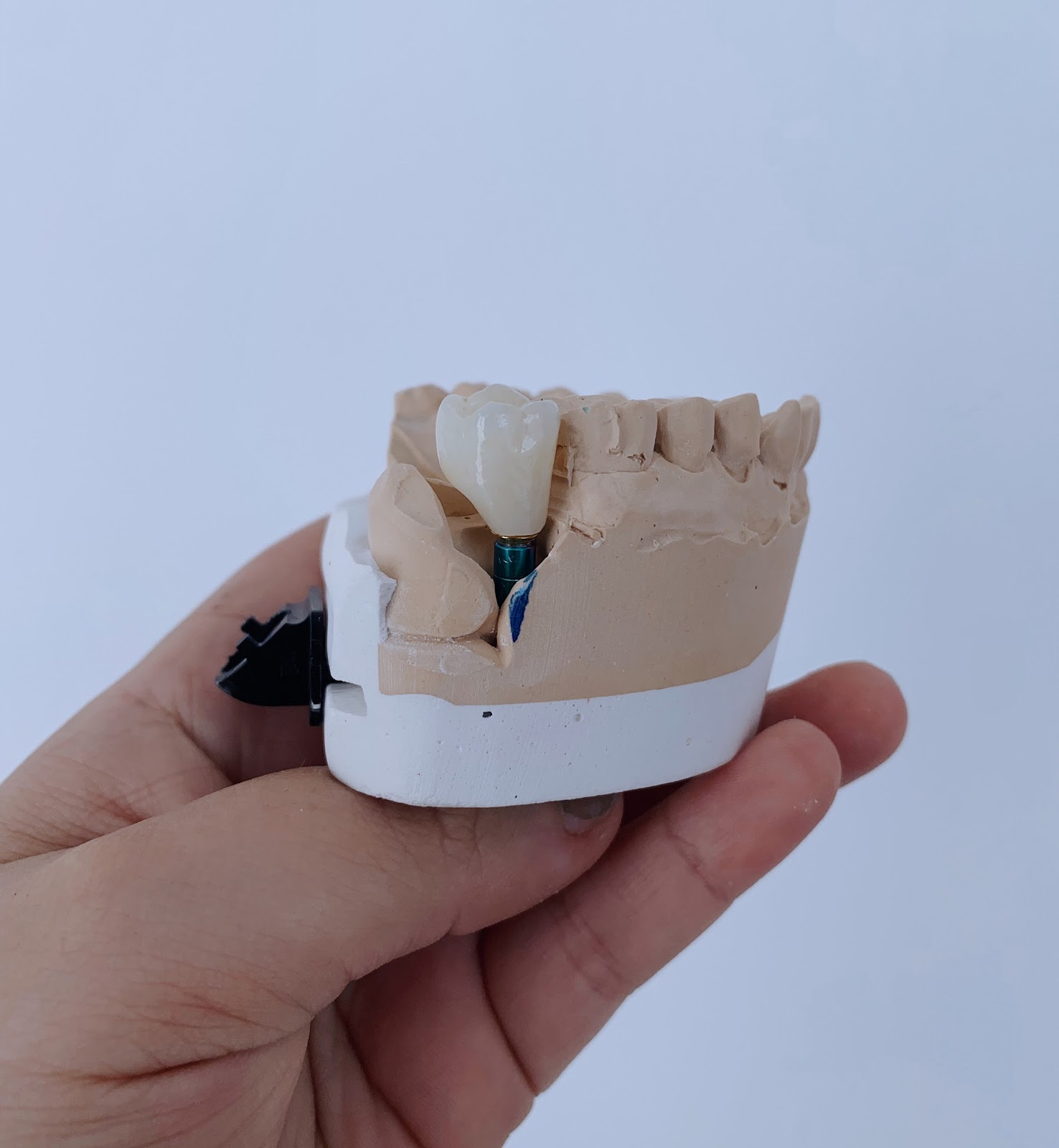 leetx-google-photo-74494-5 leetx-google-photo-74494-5