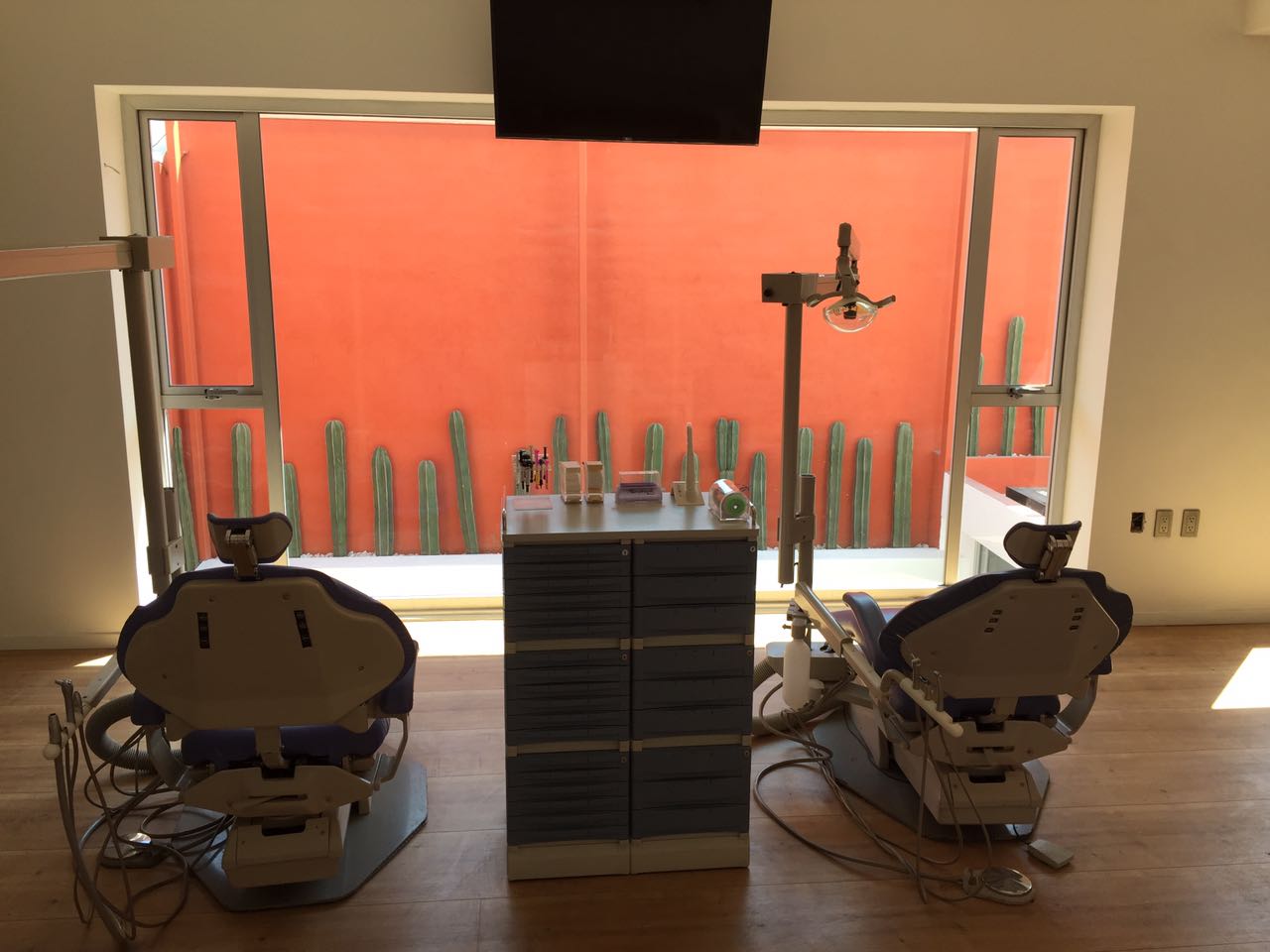 leetx-google-photo-74516-7 leetx-google-photo-74516-7