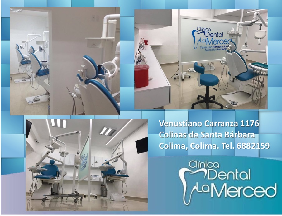 leetx-google-photo-74535-2 leetx-google-photo-74535-2