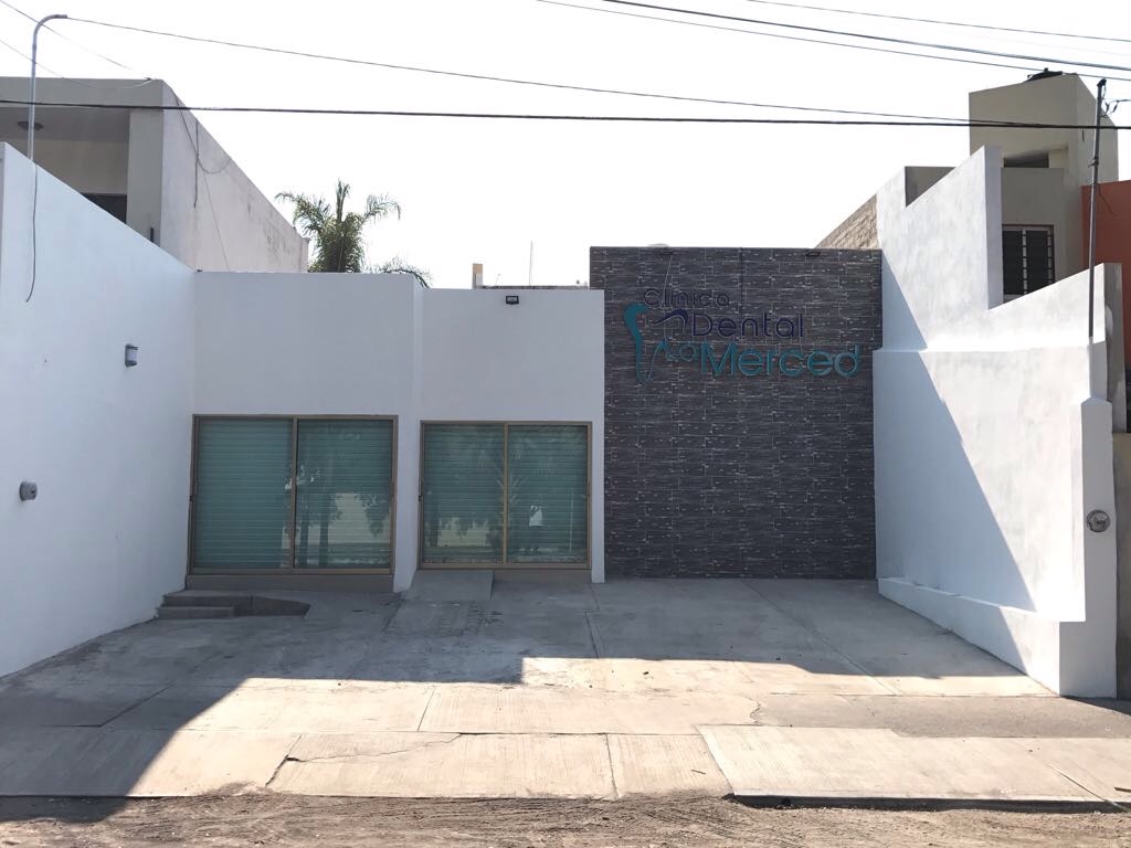 leetx-google-photo-74535-7 leetx-google-photo-74535-7