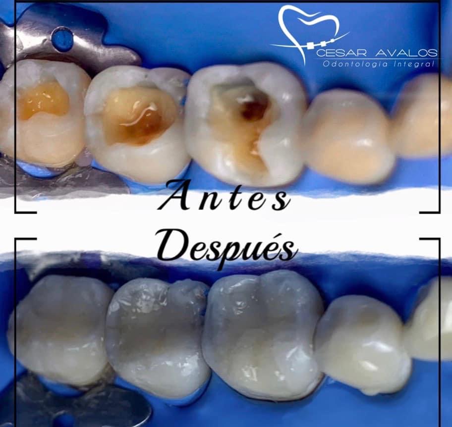 leetx-google-photo-74545-8 leetx-google-photo-74545-8