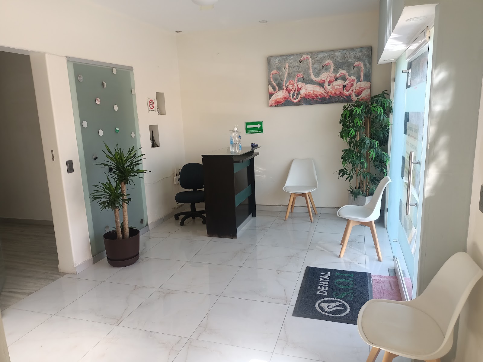 leetx-google-photo-74555-4 leetx-google-photo-74555-4