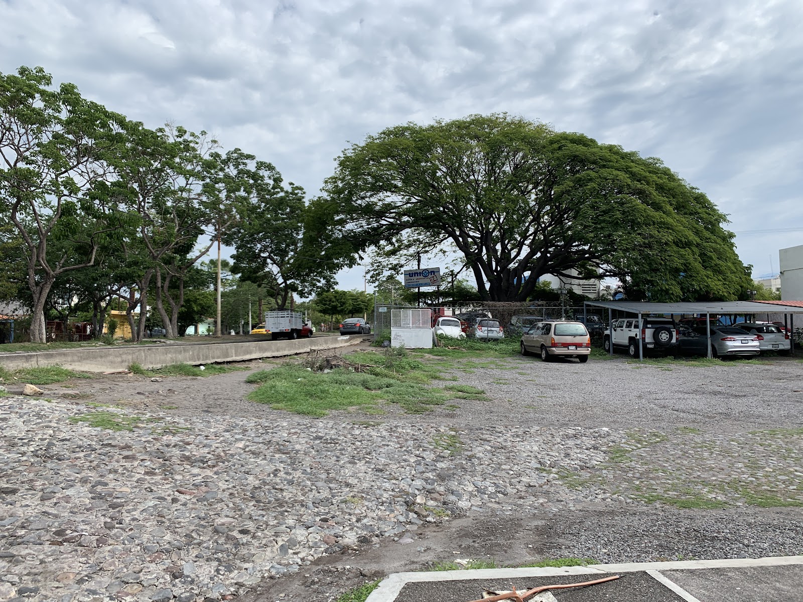 leetx-google-photo-74731-1