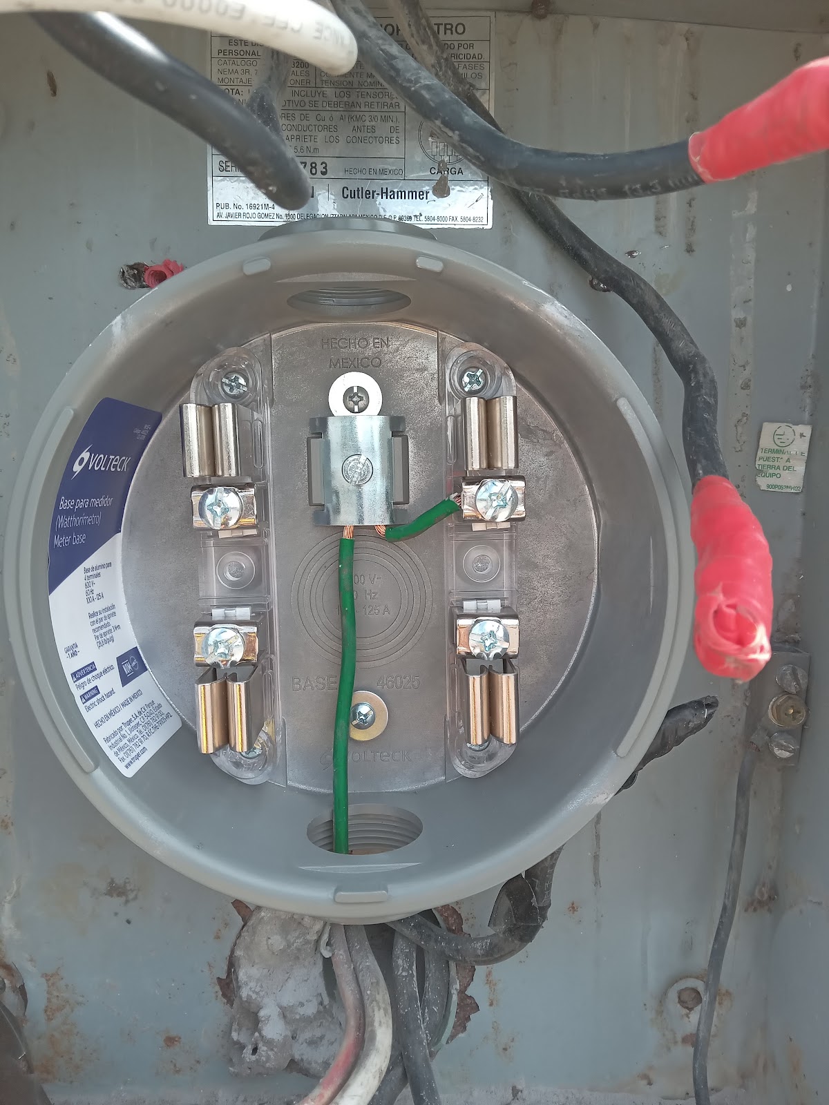 leetx-google-photo-74856-1