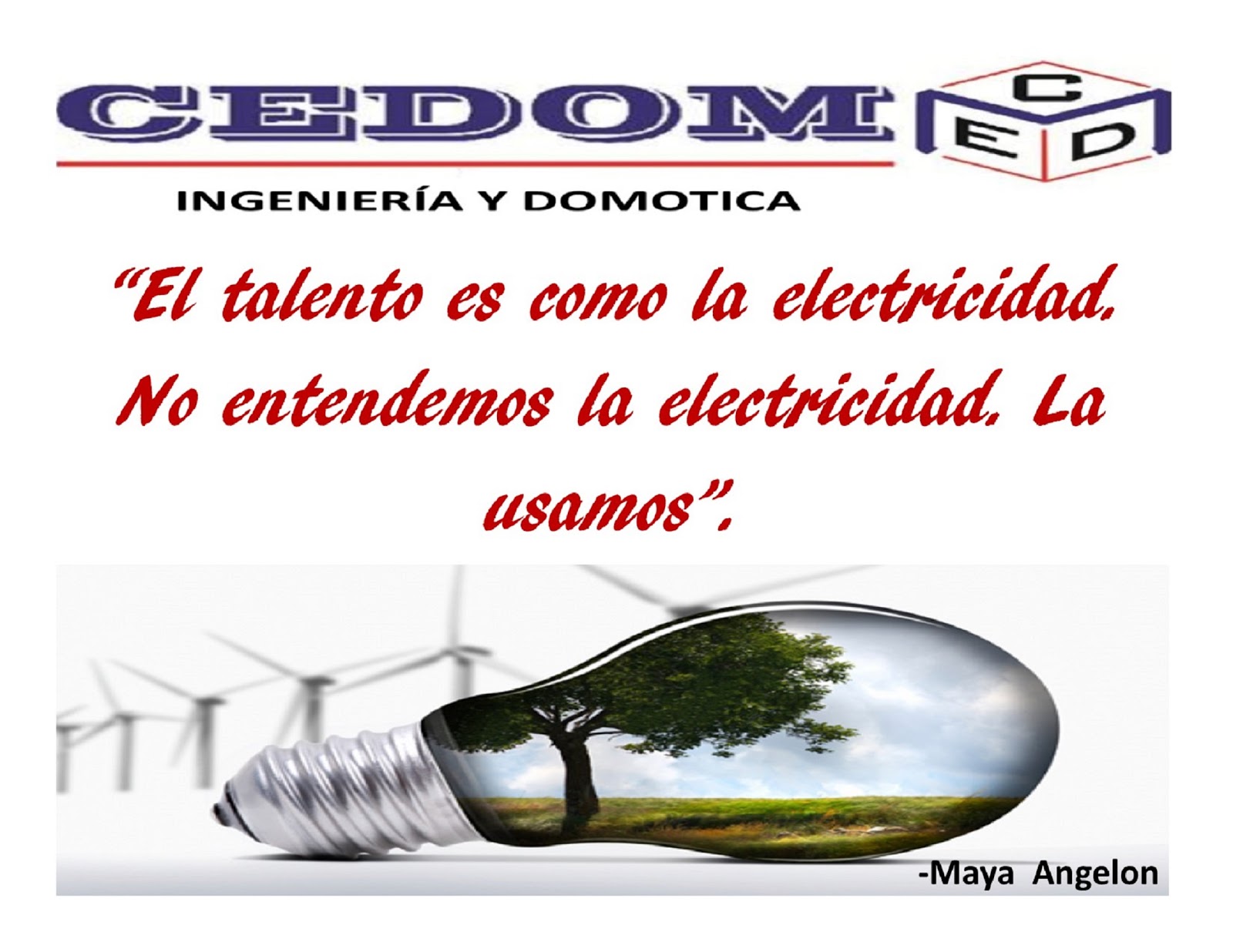 leetx-google-photo-74966-7 leetx-google-photo-74966-7