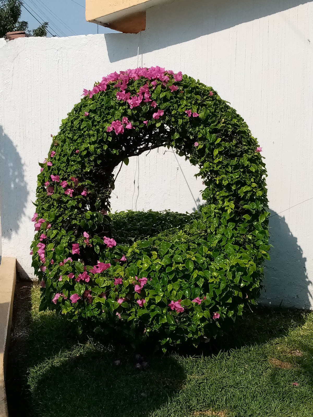 leetx-google-photo-74974-3 leetx-google-photo-74974-3