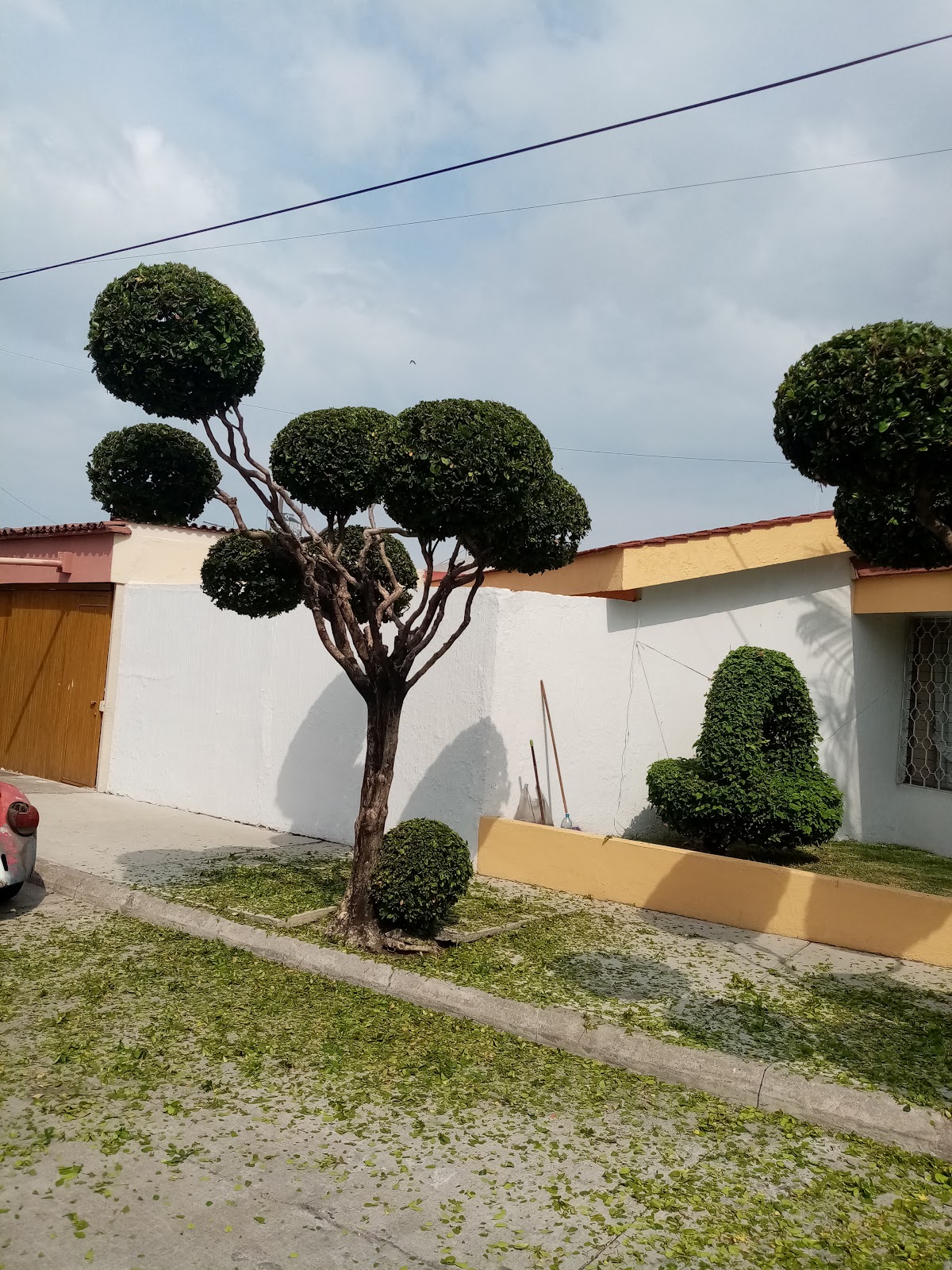 leetx-google-photo-74974-4 leetx-google-photo-74974-4