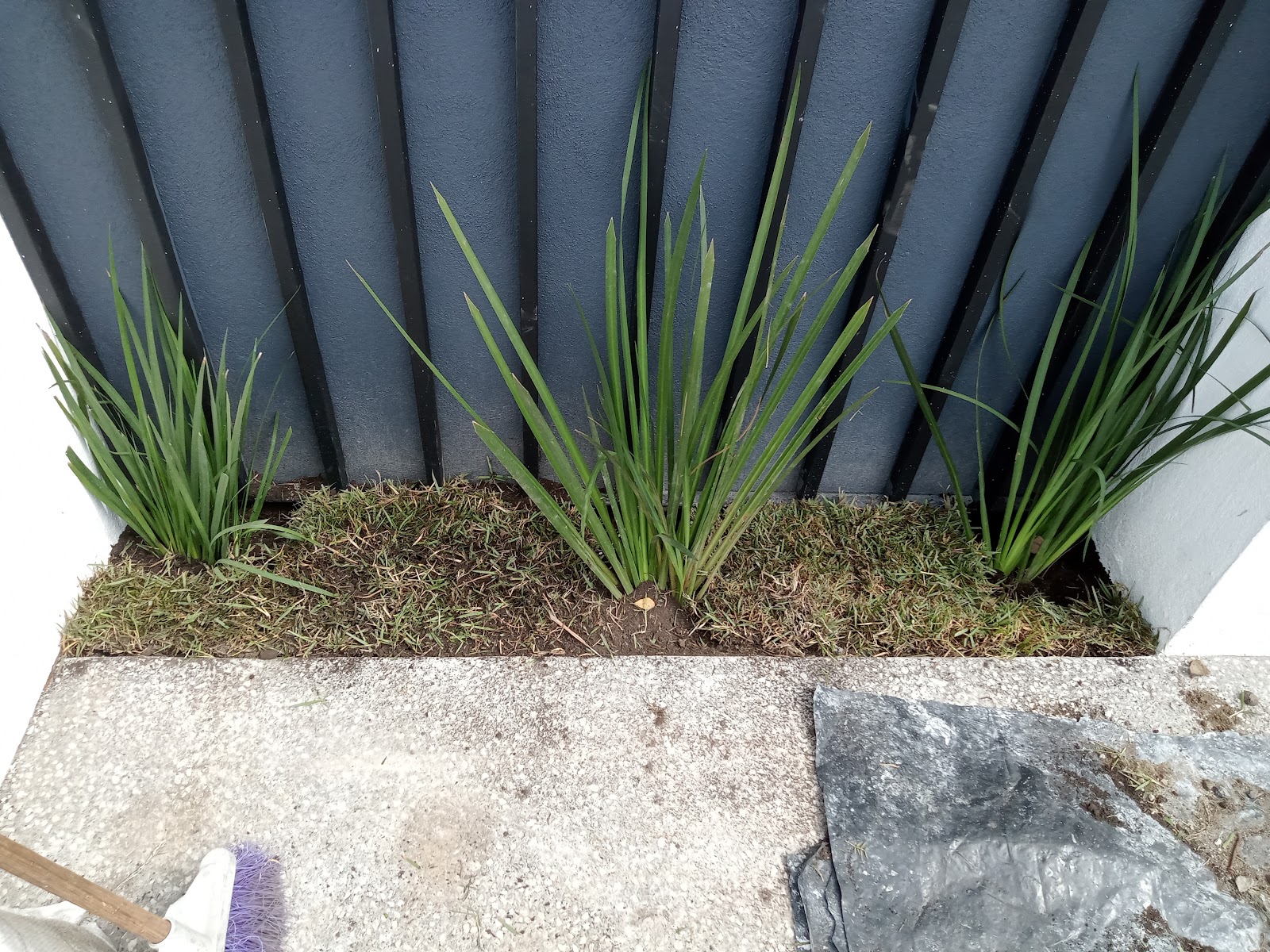 leetx-google-photo-74974-5 leetx-google-photo-74974-5