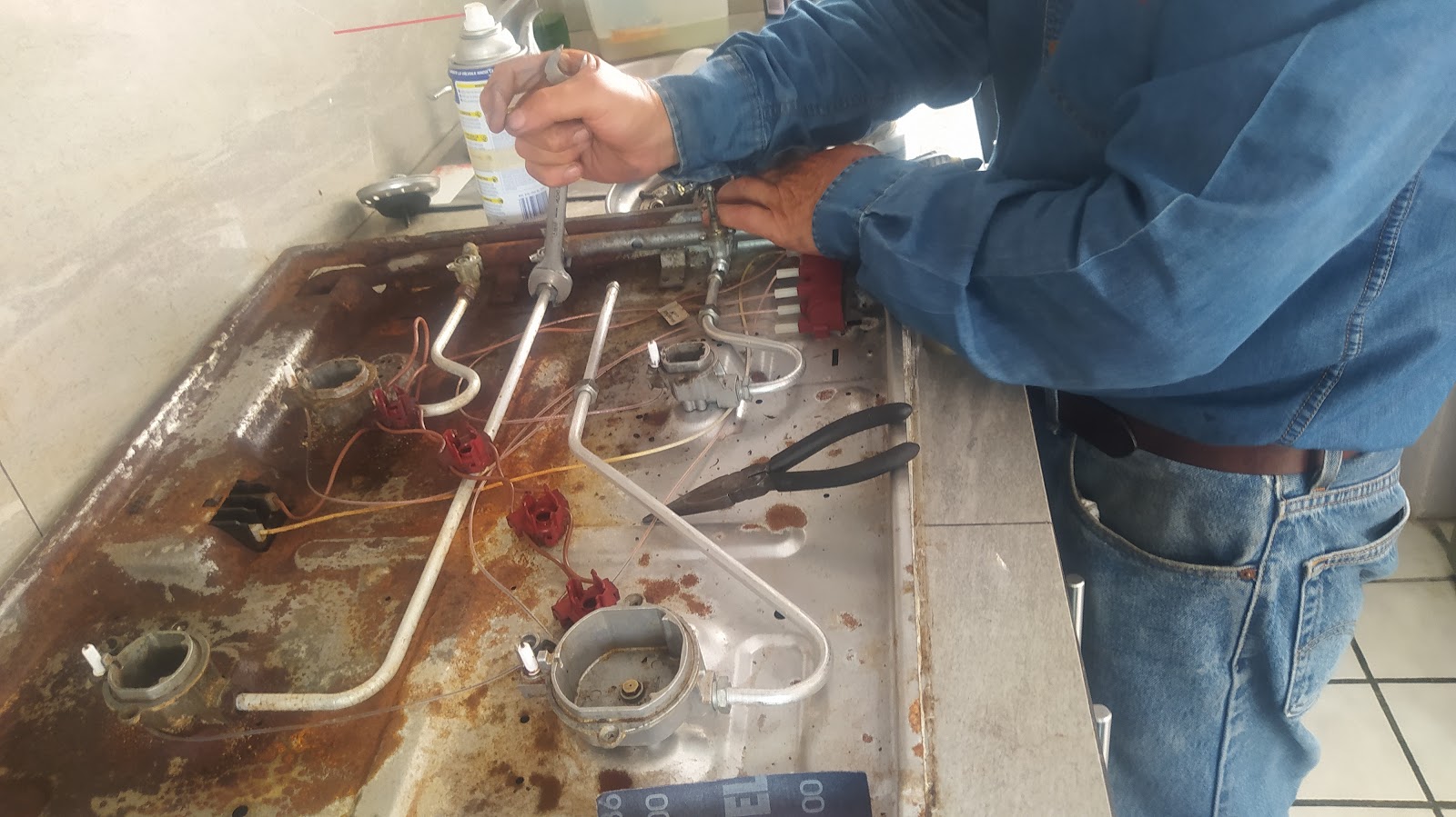 leetx-google-photo-75030-2 leetx-google-photo-75030-2